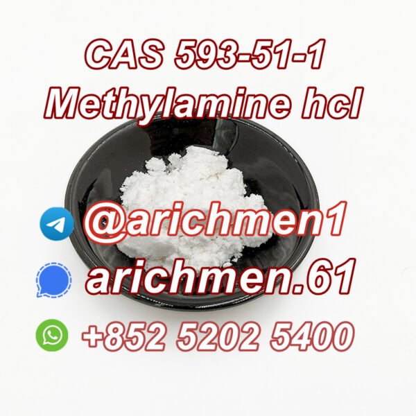 Methylamine hcl CAS 593-51-1